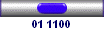 01 1100