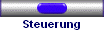 Steuerung